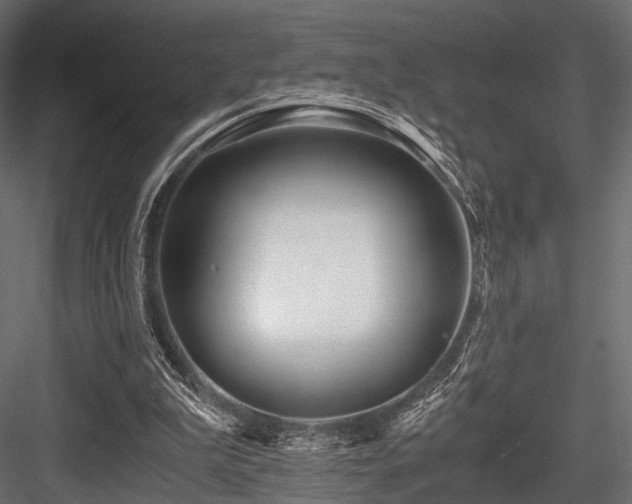 X0000084550199200702231214
