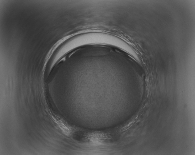 X0000084550200200702231214
