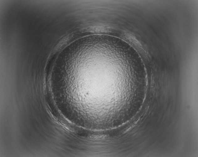 X0000084550202200702231214