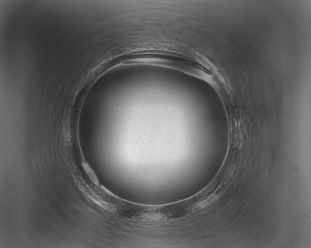 X0000084550203200702231214