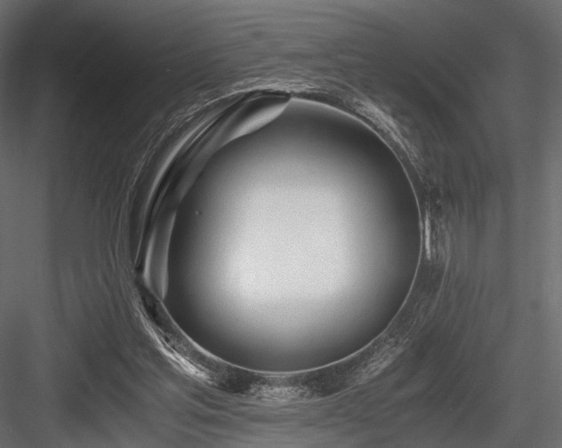 X0000084550205200702231214