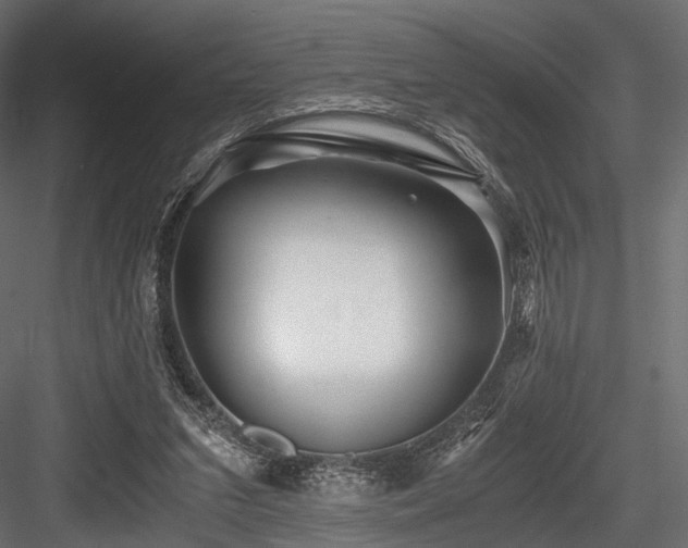 X0000084550207200702231214