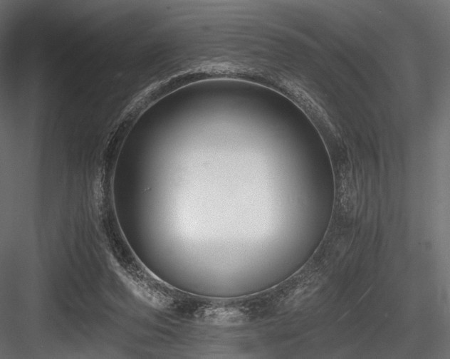 X0000084550208200702231214