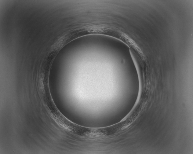 X0000084550209200702231214