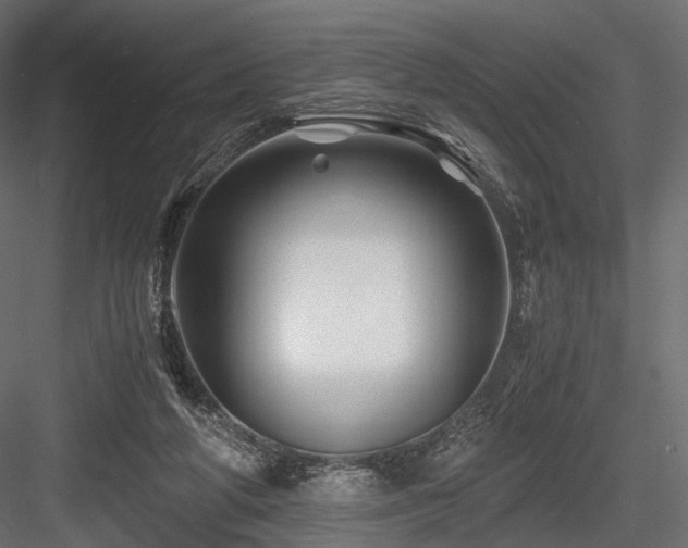 X0000084550210200702231214