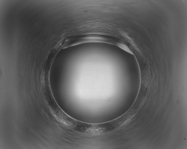 X0000084550213200702231214