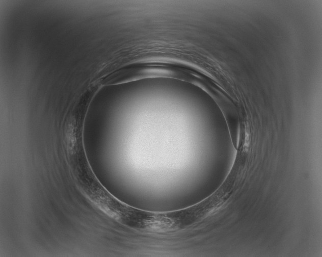 X0000084550215200702231214