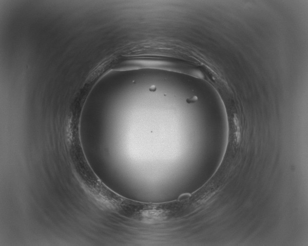 X0000084550216200702231214