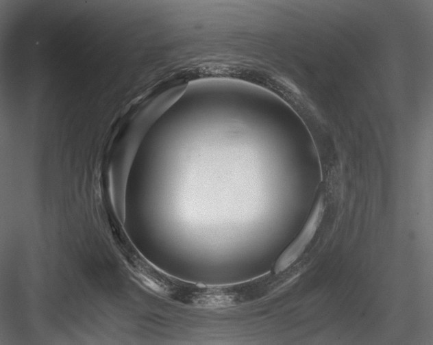 X0000084550217200702231214