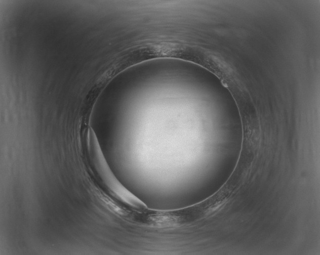 X0000084550221200702231214