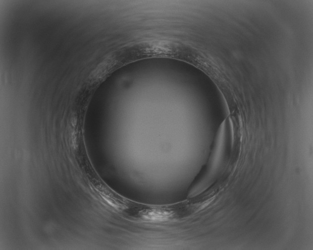 X0000084550223200702231214