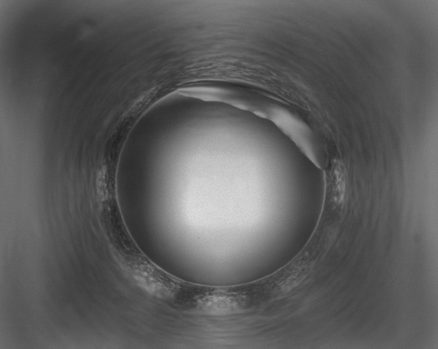 X0000084550224200702231214