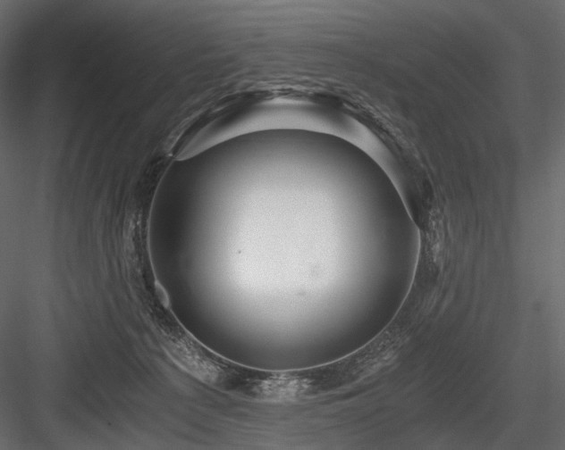 X0000084550225200702231214