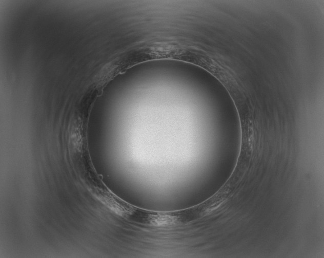 X0000084550226200702231214