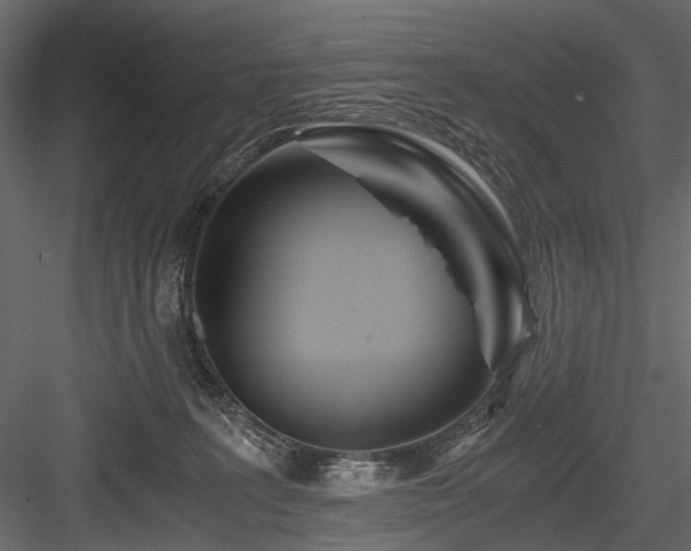 X0000084550227200702231214