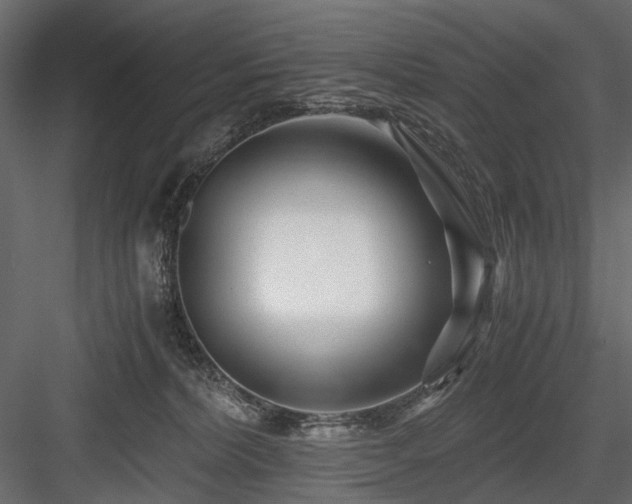 X0000084550228200702231214