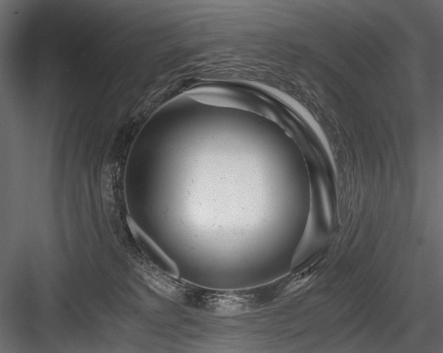X0000084550229200702231214
