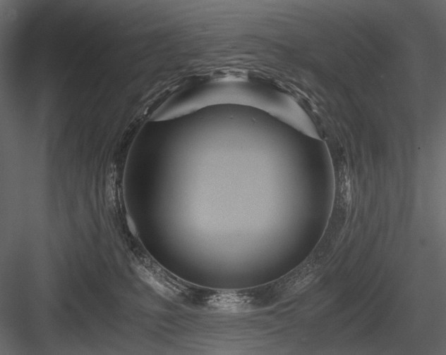 X0000084550231200702231214
