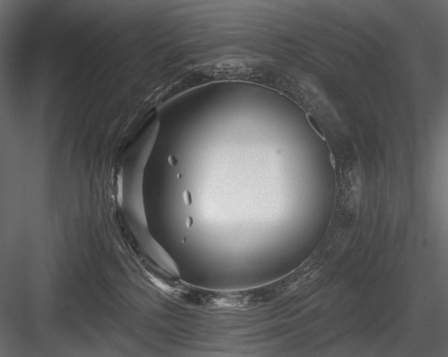X0000084550232200702231214