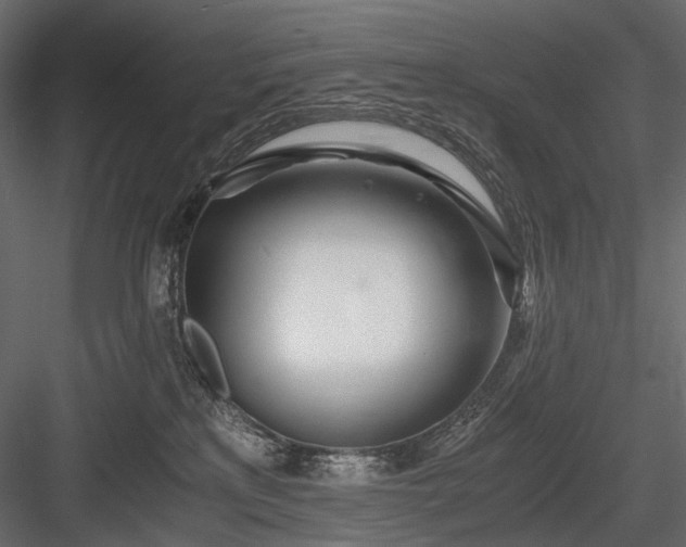 X0000084550233200702231214