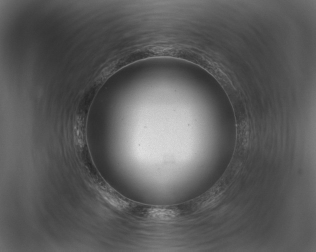 X0000084550234200702231214