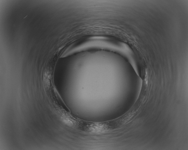 X0000084550235200702231213