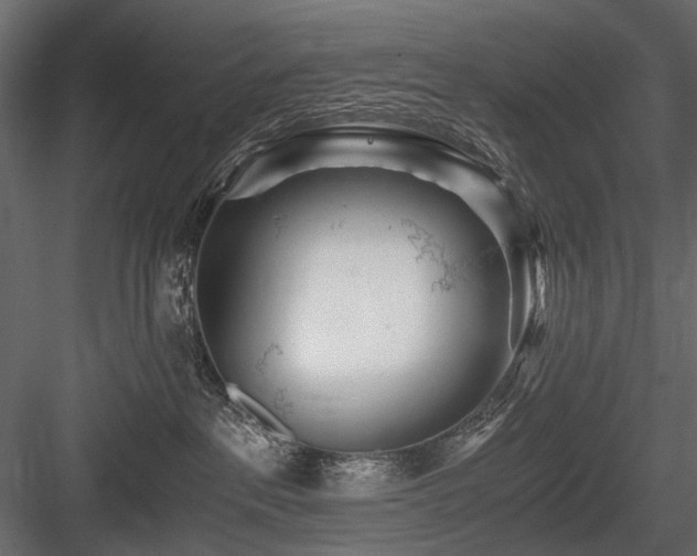X0000084550237200702231213