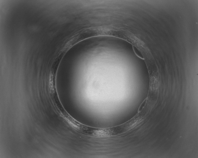 X0000084550238200702231213