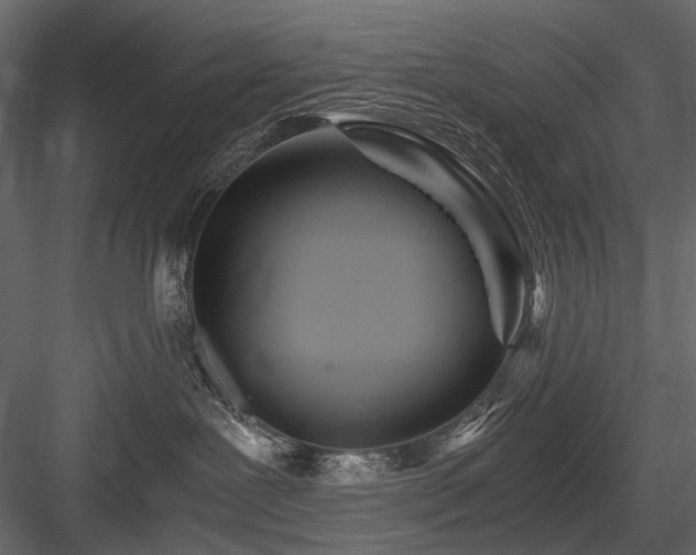 X0000084550239200702231213