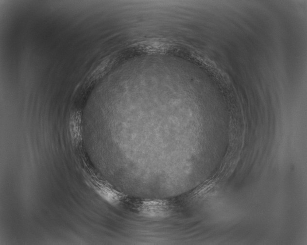 X0000084550240200702231213