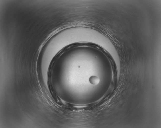 X0000084550244200702231213