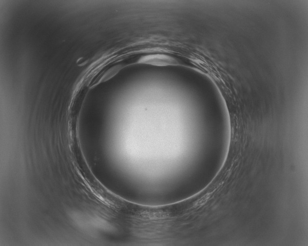 X0000084550245200702231213