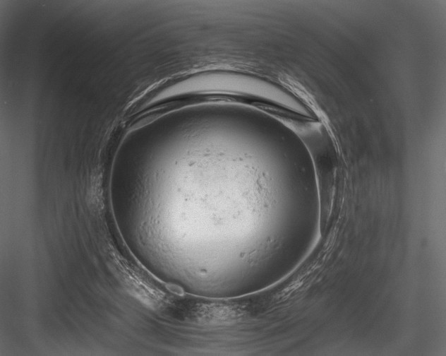 X0000084550249200702231213