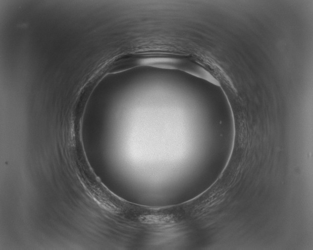 X0000084550251200702231213