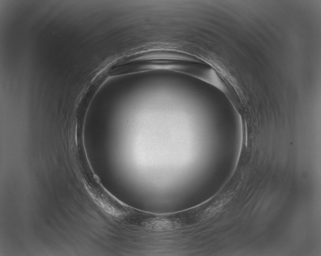 X0000084550253200702231213
