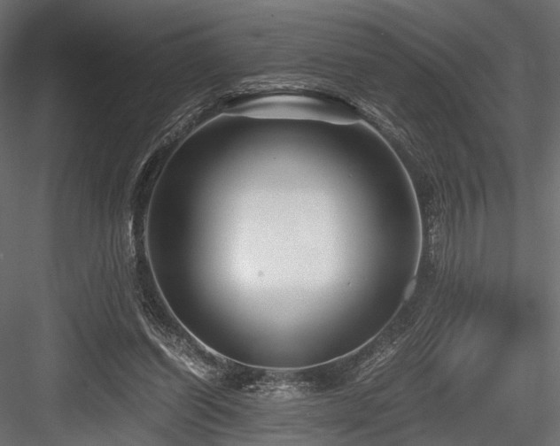X0000084550254200702231213