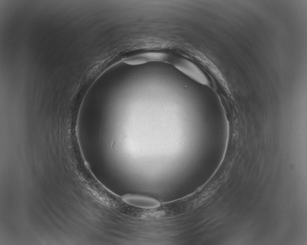 X0000084550257200702231213
