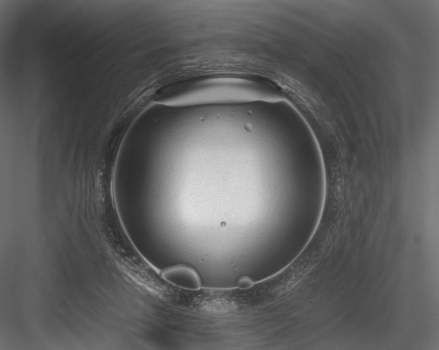 X0000084550258200702231213