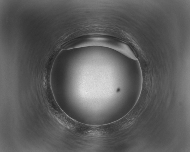 X0000084550259200702231213