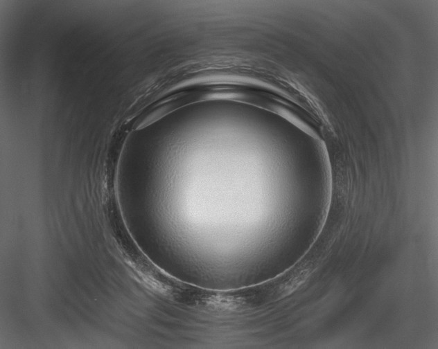 X0000084550261200702231213