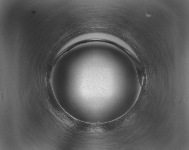 X0000084550262200702231213