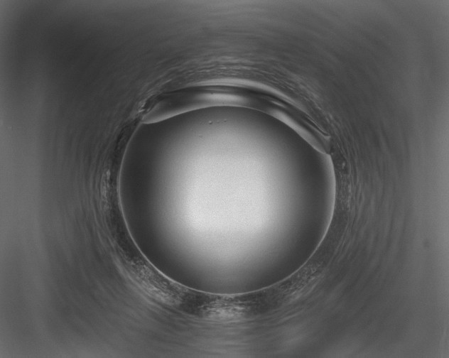 X0000084550263200702231213