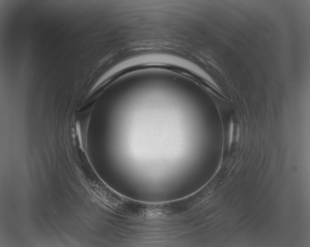 X0000084550264200702231213