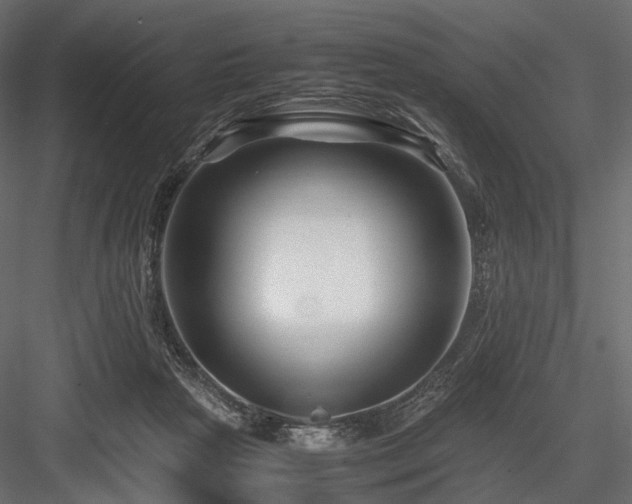 X0000084550265200702231213