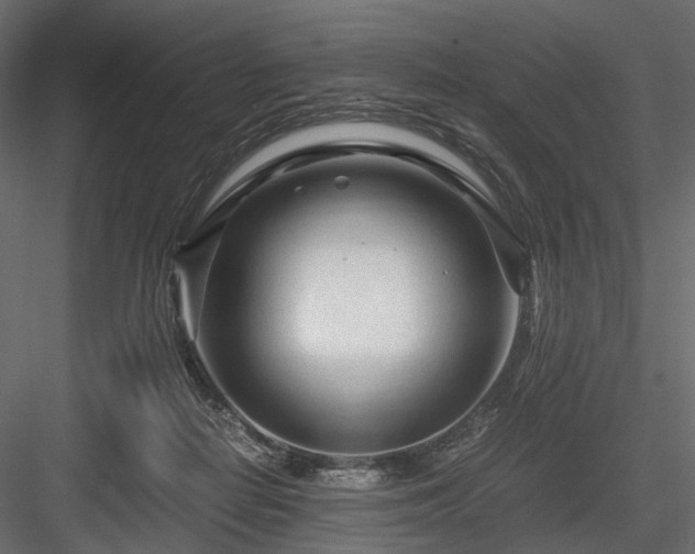 X0000084550266200702231213