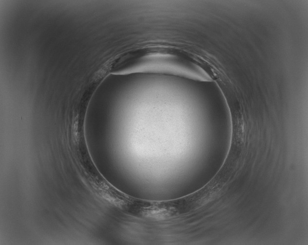 X0000084550267200702231213