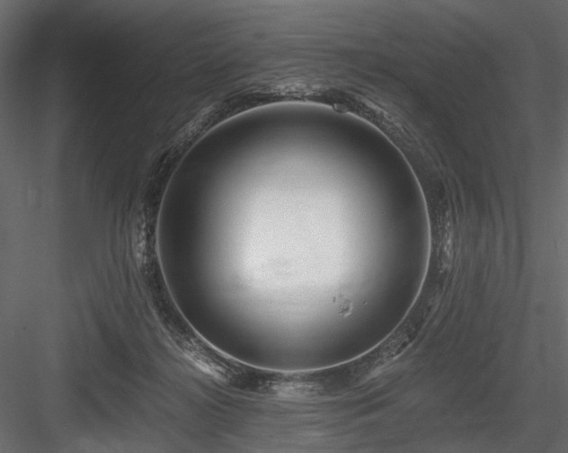 X0000084550268200702231213