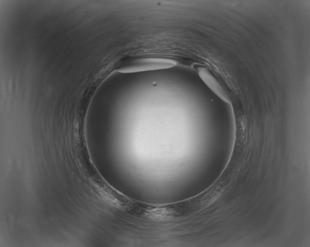 X0000084550269200702231213