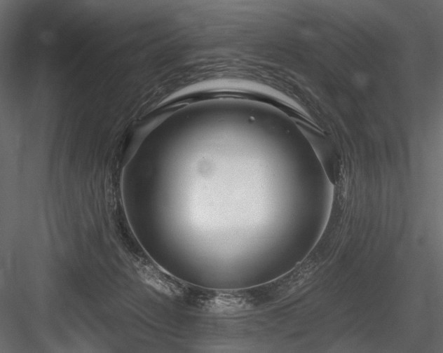 X0000084550270200702231213
