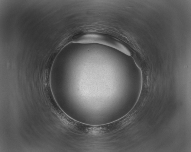 X0000084550273200702231213